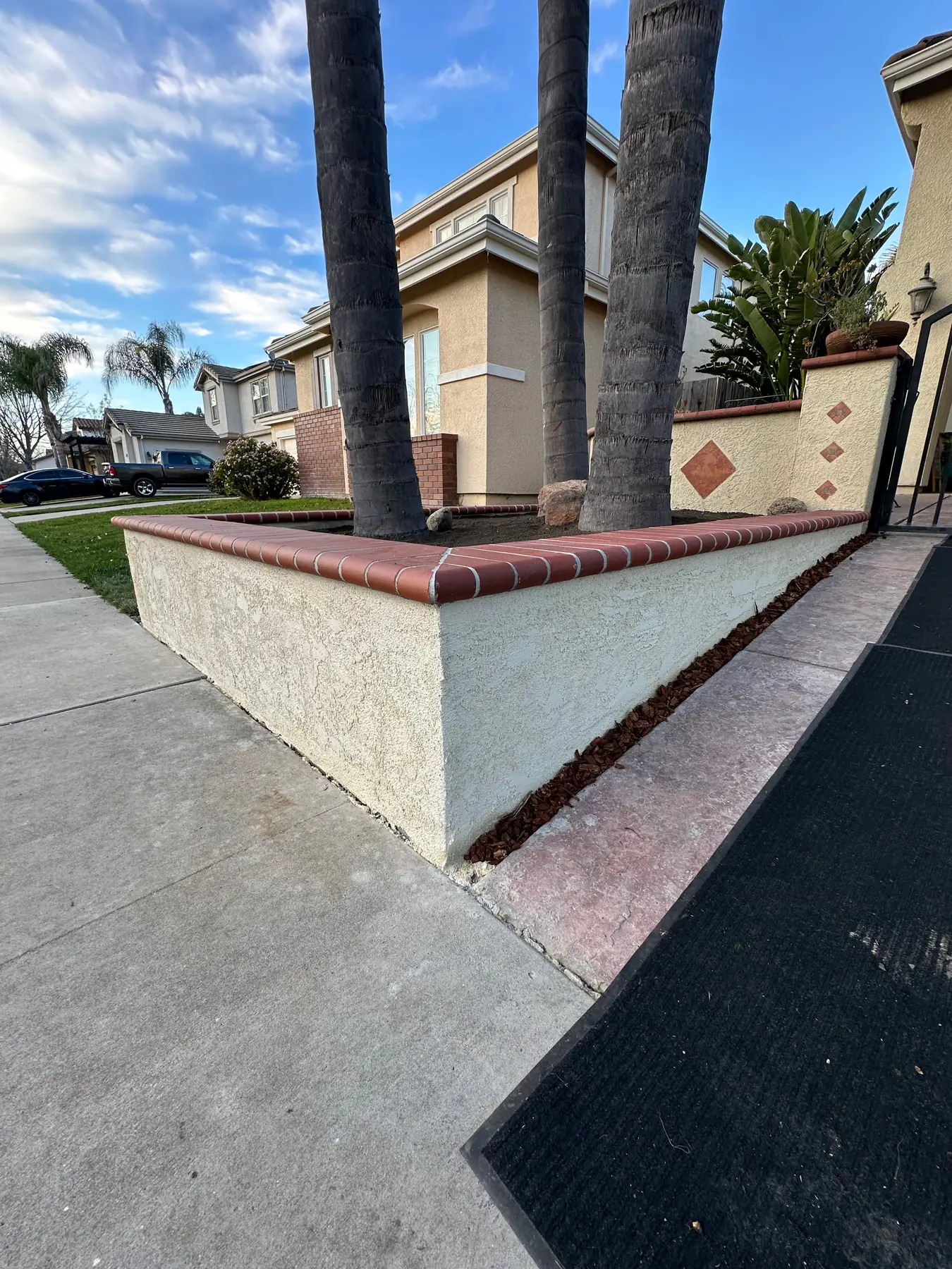Residential wall detail with palms and walkway