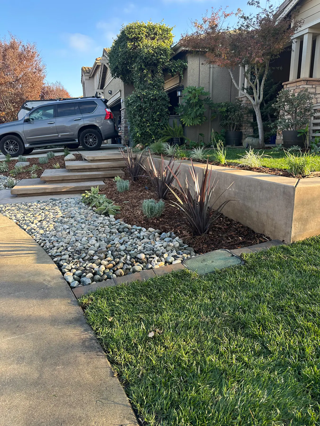 Raised planter with ornamental grasses and driveway