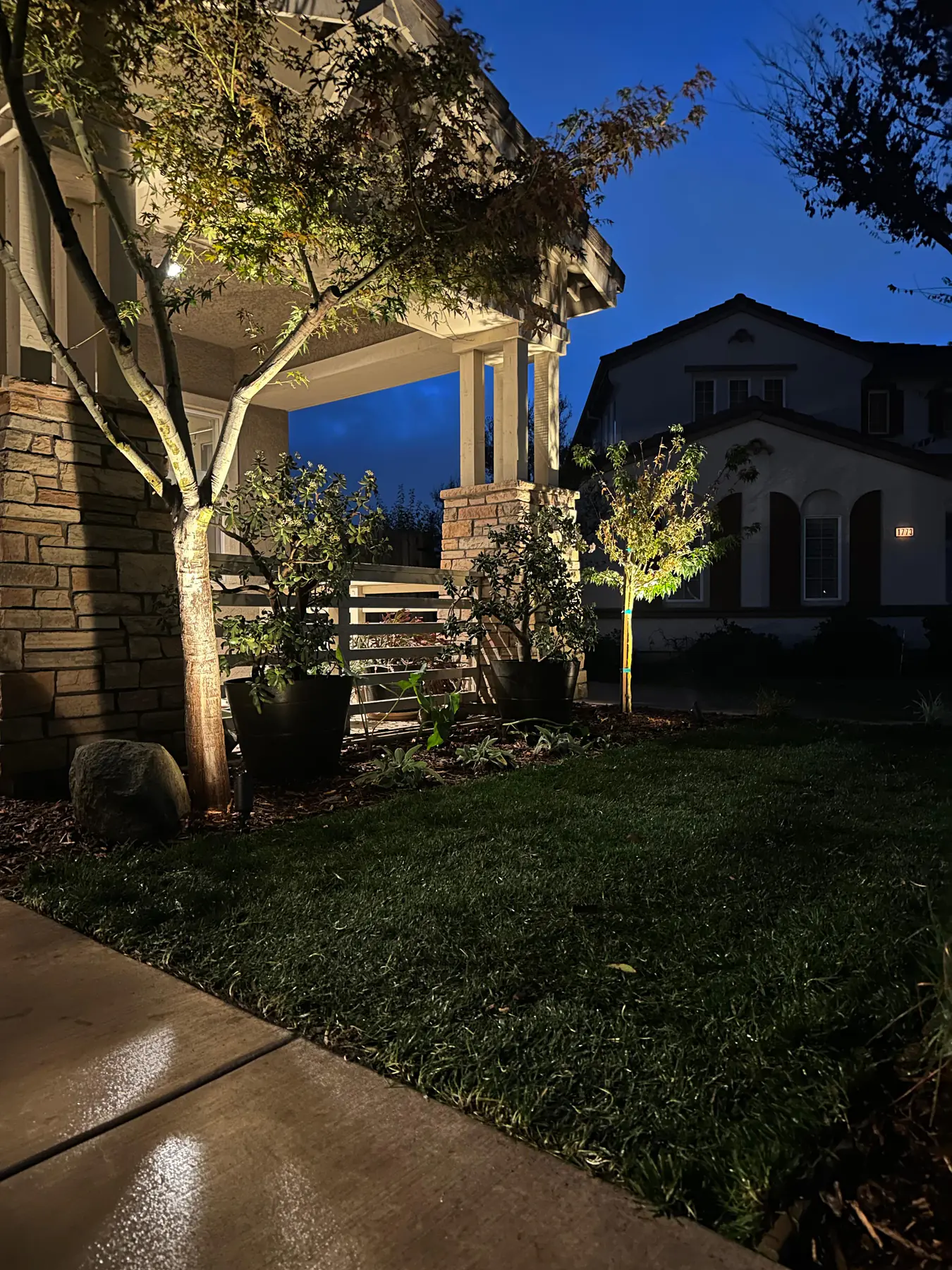 Tree and porch area lit with landscape lighting at dusk