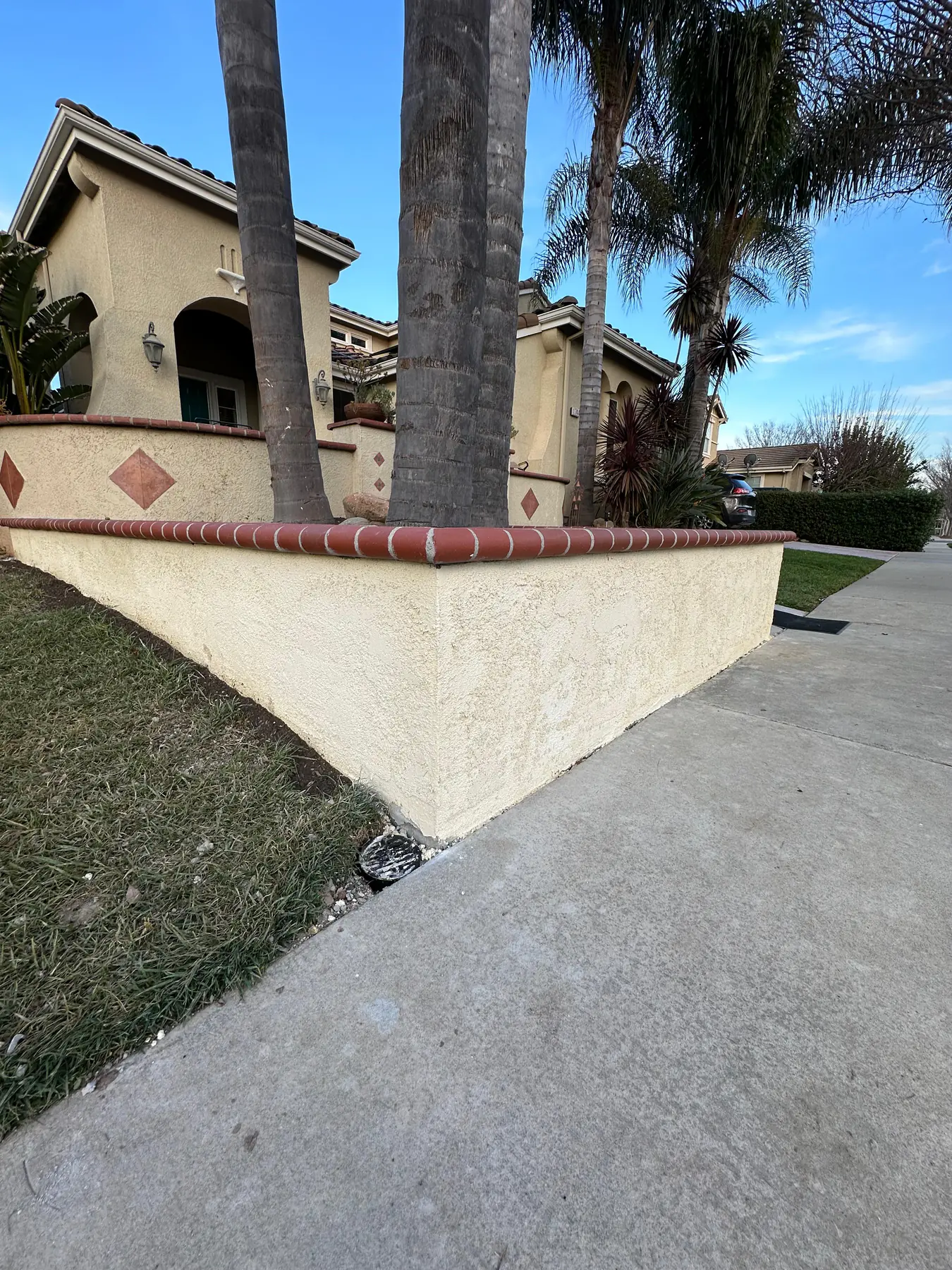 Low wall and palm tree landscape detail