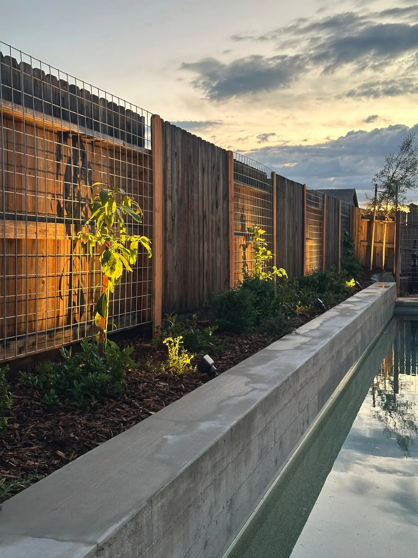 Modern fence with planted border and lighting