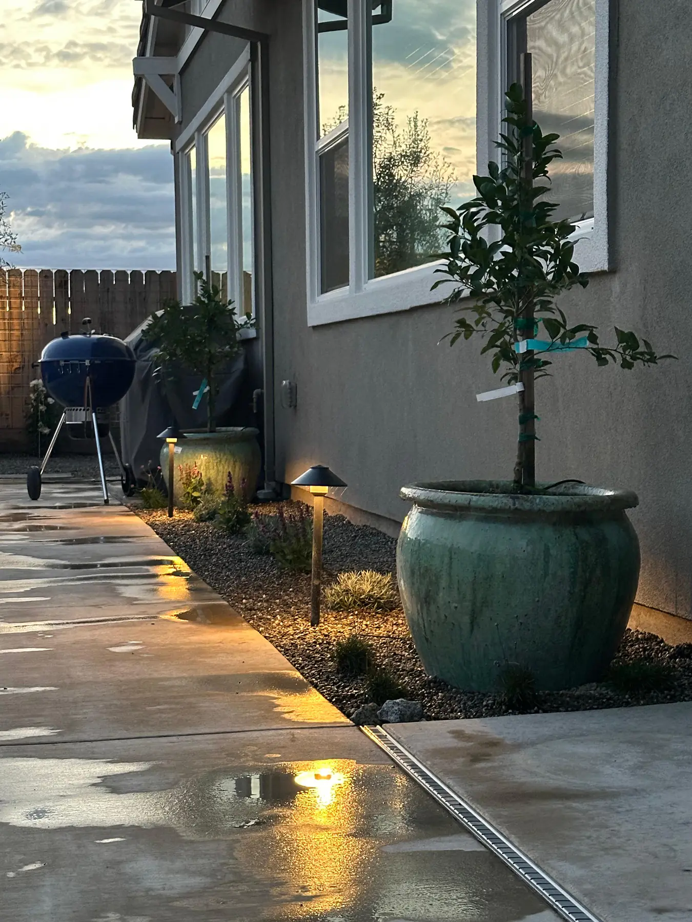 Side yard planting lit near a home wall