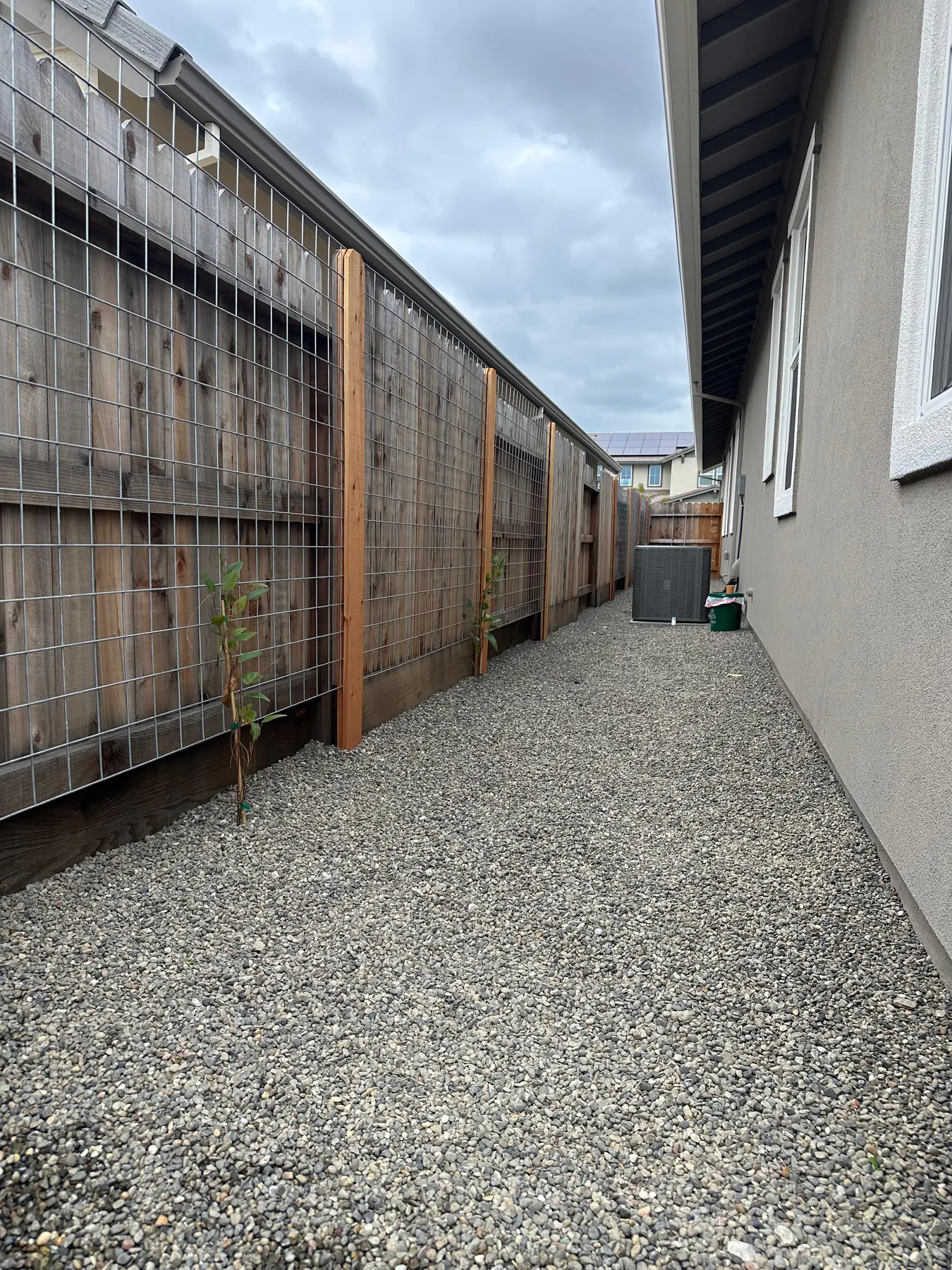 Modern fence and side yard walkway