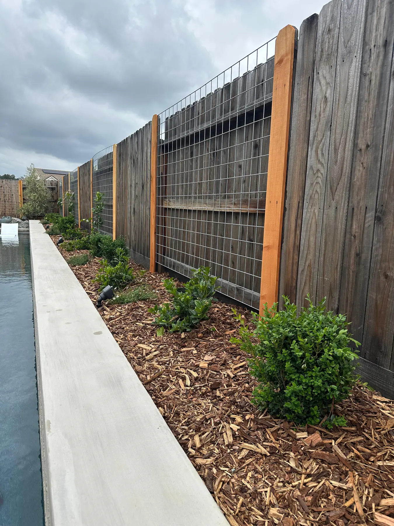 Poolside planting along a modern wood fence