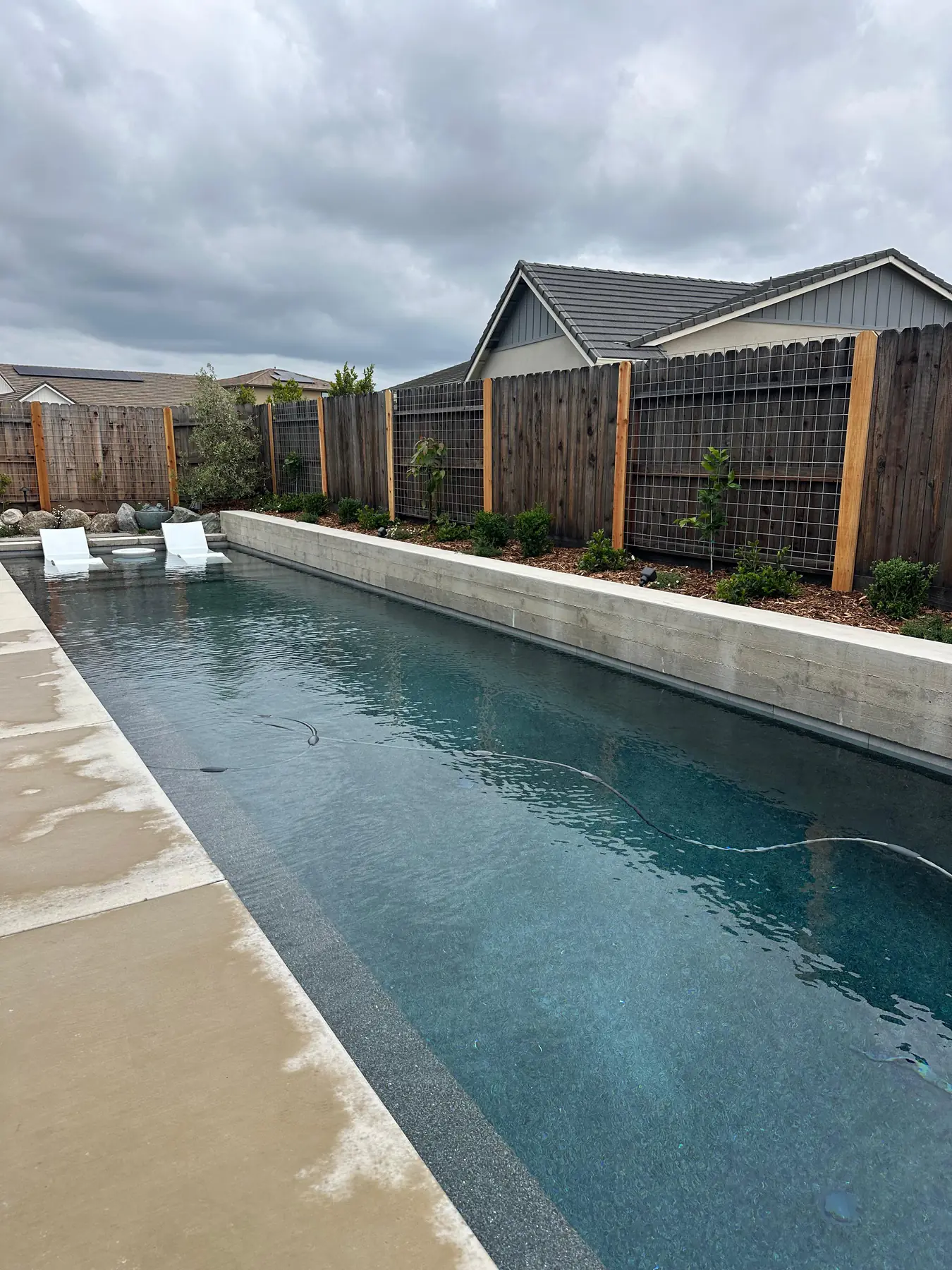 Pool with modern privacy fence and planted border