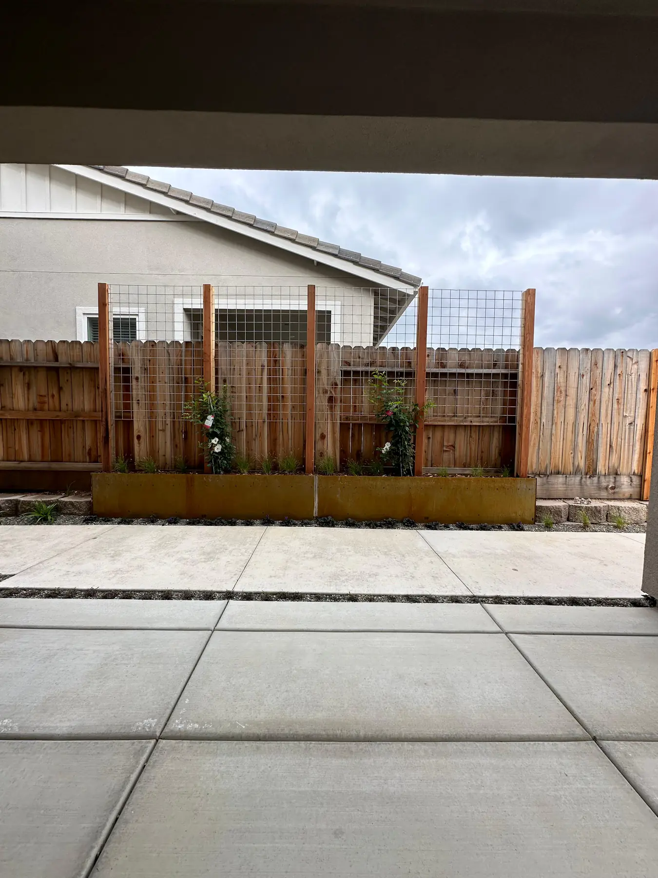 Fence panel detail with young tree and gravel