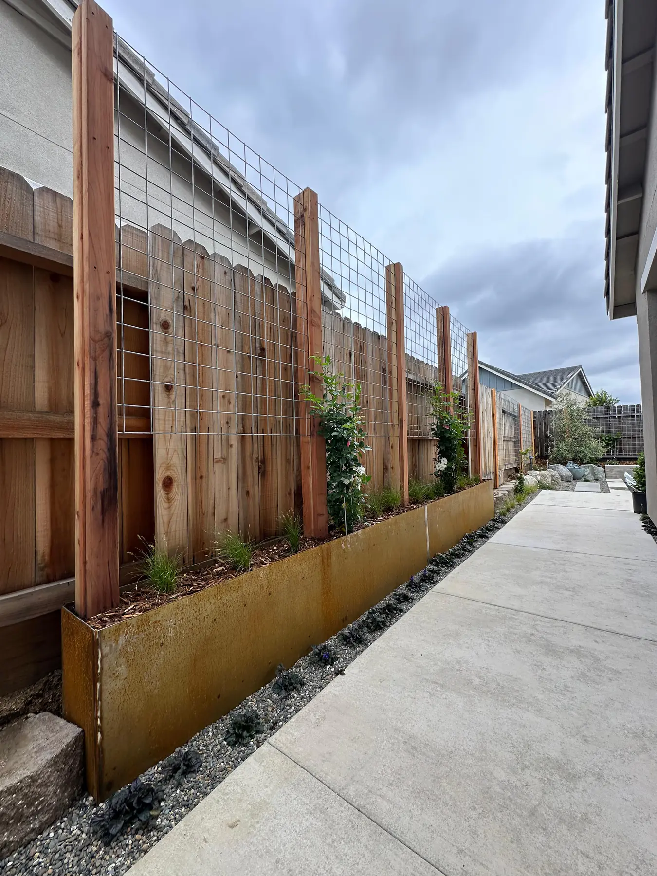 Concrete walkway along modern fence and planting