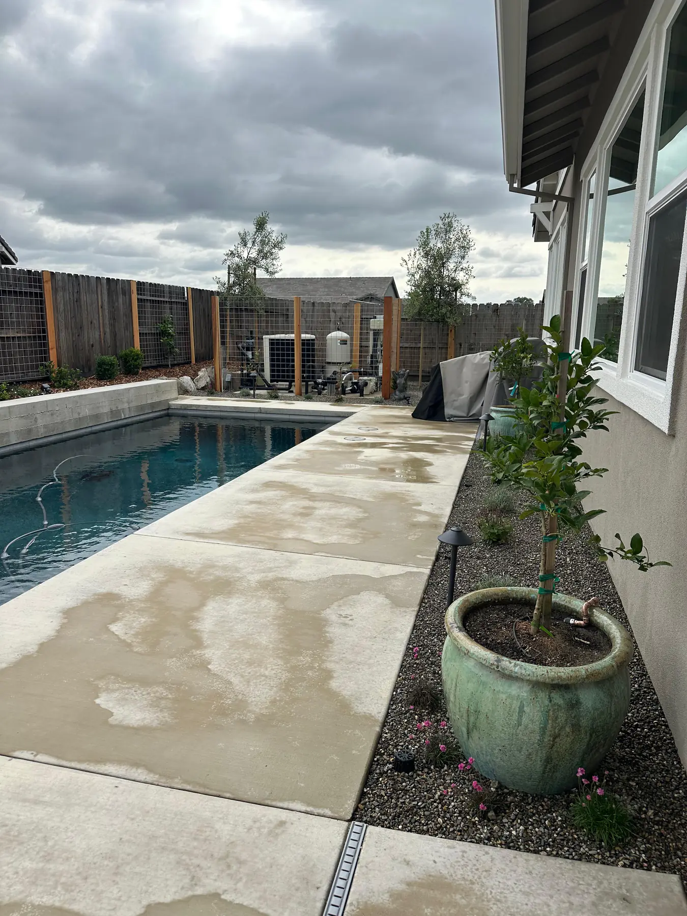 Pool patio and side yard with new landscaping