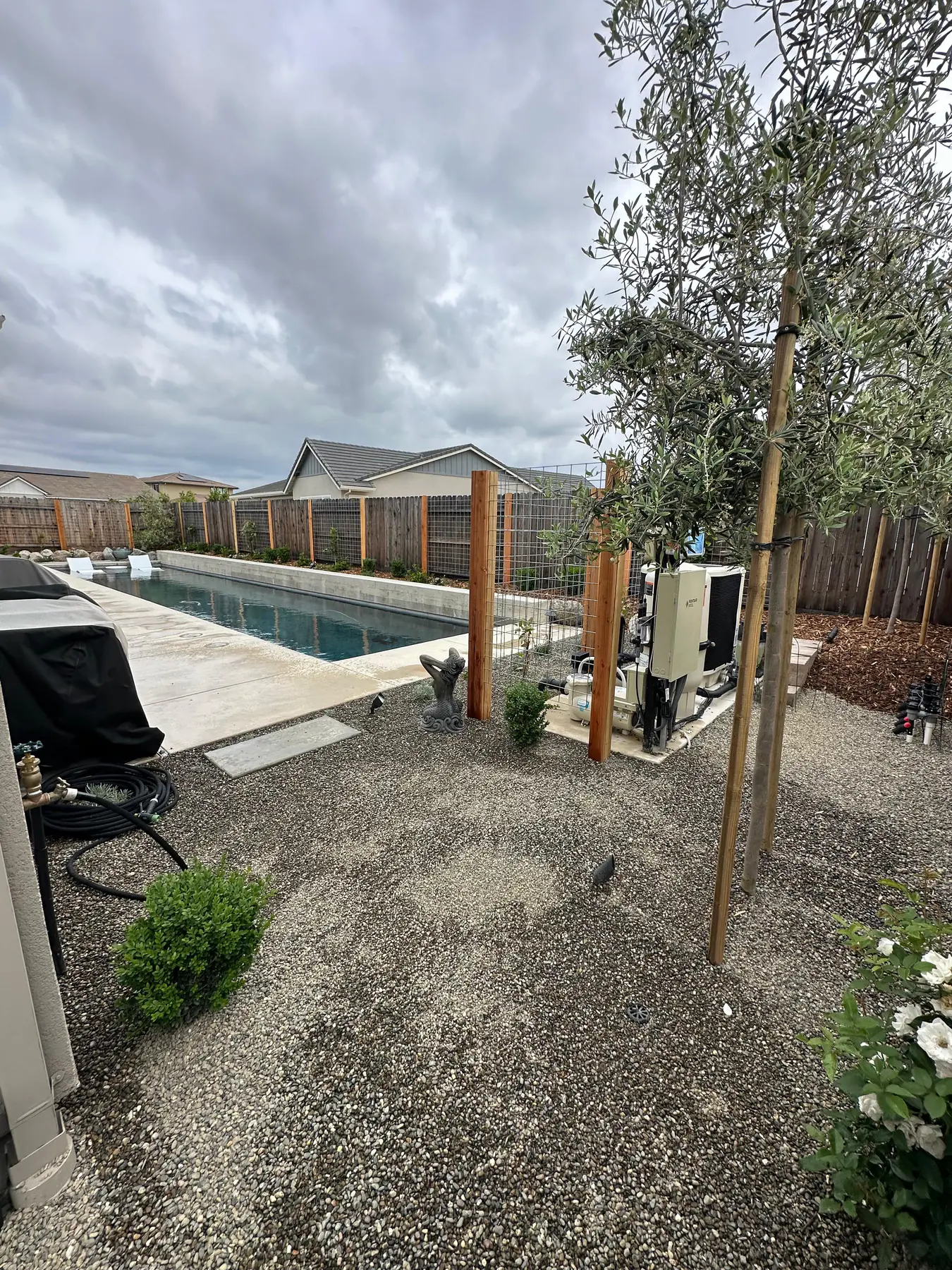 Pool garden corner with tree, gravel, and fence
