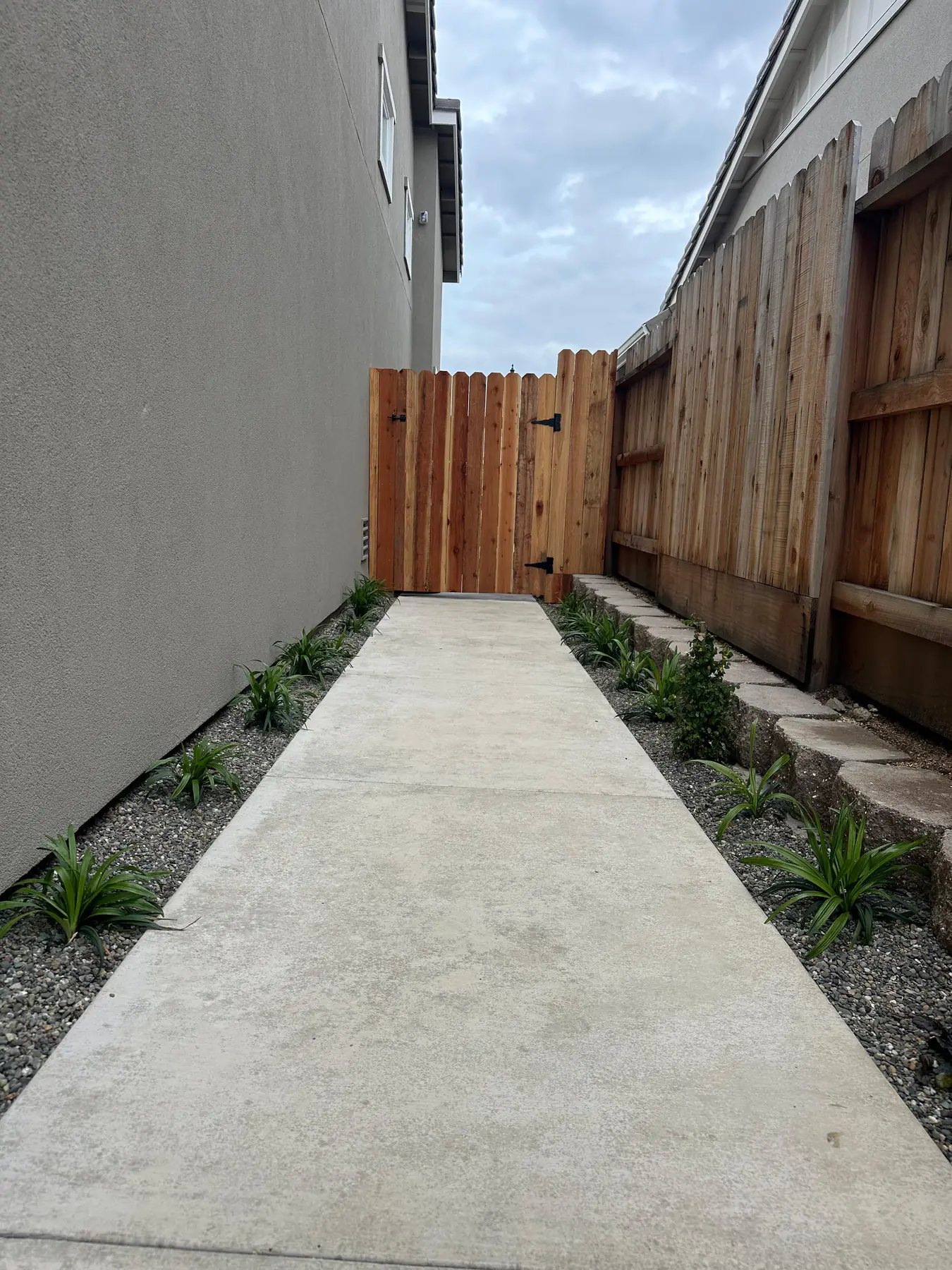 Wood side gate and narrow landscape strip