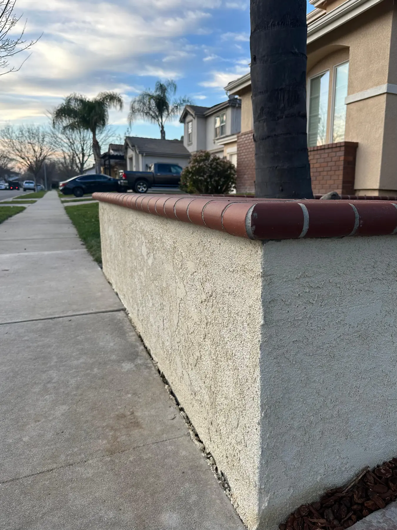 Wall and palm landscape detail beside sidewalk